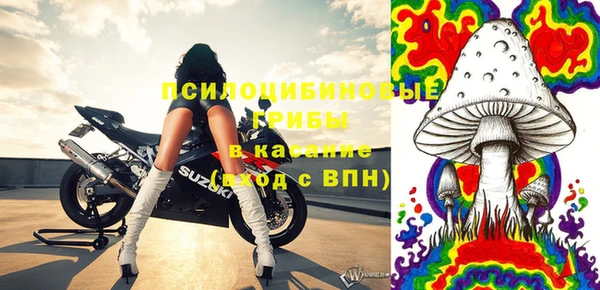 ешки Алзамай
